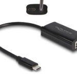 DELOCK αντάπτορας USB-C σε RJ45 & USB-C 61026