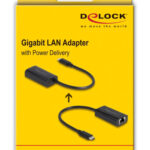 DELOCK αντάπτορας USB-C σε RJ45 & USB-C 61026