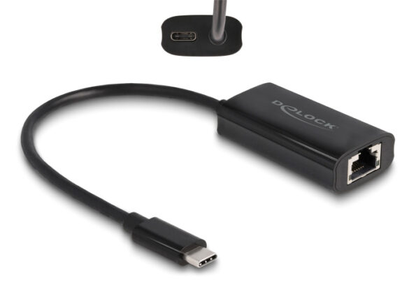 DELOCK αντάπτορας USB-C σε RJ45 & USB-C 61026