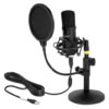 DELOCK μικρόφωνο studio με pop φίλτρο & αντιανέμιο 66300