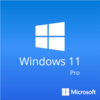 MICROSOFT Windows 11 Pro FQC-10528