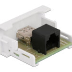 DELOCK module USB σε RJ45 Easy 45 81344