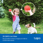 TP-LINK smart ηλιακή κάμερα Tapo C425 KIT