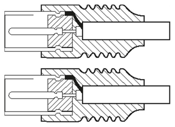 CCS