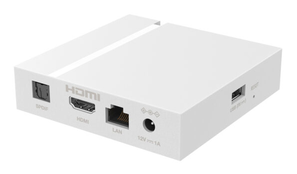 LEAP-S3-V2-8