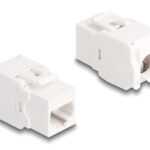 DELOCK Keystone module 86051