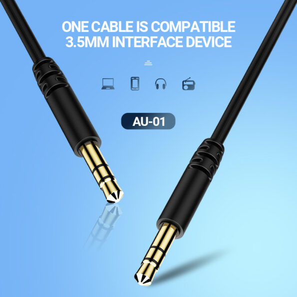 AUX