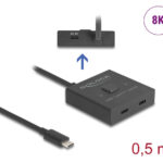 DELOCK USB-C switch 18911