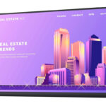 DELL used οθόνη P2422H IPS-LED