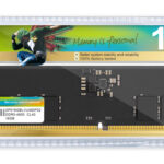 SILICON POWER μνήμη DDR5 UDIMM SP016GBLVU480F02