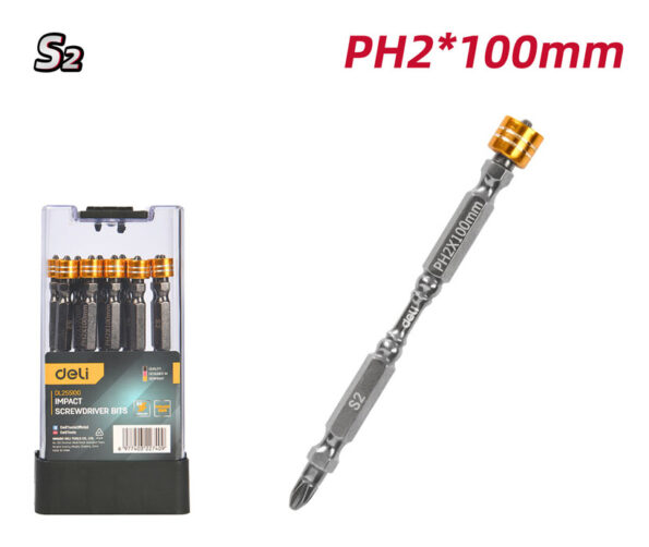 PH2x100mm