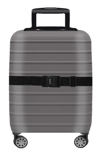 ρυθμιζόμενος