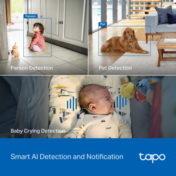TAPO-C260-7