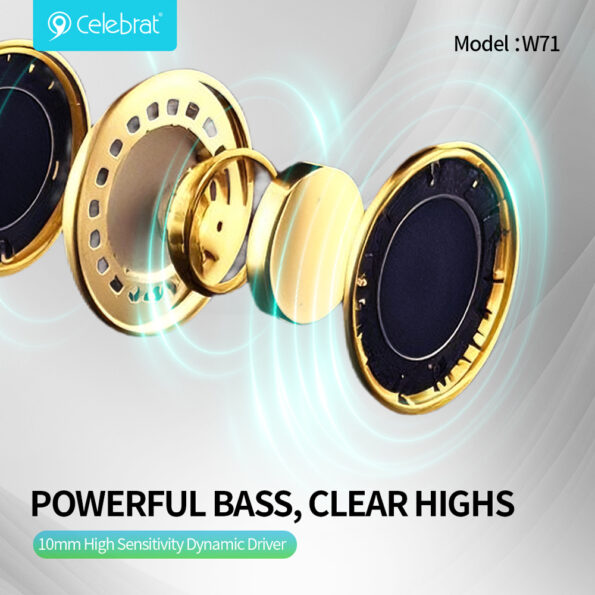 True Wireless