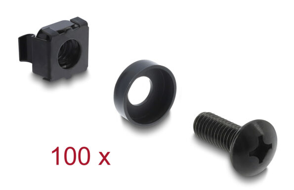 DELOCK σετ βίδες με παξιμάδια 42434 για rack