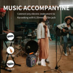 JYX φορητό ηχείο T26-T με 2x μικρόφωνα