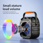 JYX φορητό ηχείο T26-T με 2x μικρόφωνα