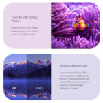 HOMATICS TV Box R 4K Plus