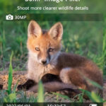 SUNTEK smart ηλιακή κάμερα κυνηγού Mini 900 Pro