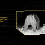 OUKITEL smartphone WP60