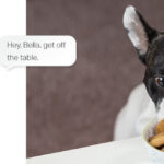 TP-LINK smart camera Tapo-C200 Full HD