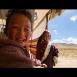 24139_04166017-96e1-457a-9db2-85