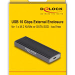 DELOCK θήκη για M.2 NVMe PCIe/SATA SSD 42019