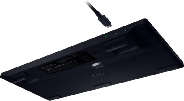 51dbLPTtWuL._AC_SL1500_