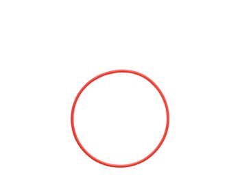 Olympus POL-058 O-ring for PT-058 / PT-059