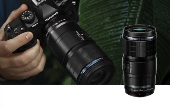 B04_Flexgrid_P50_640x400