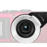 ACCESSORIES_FD-1__Product_000-scaled