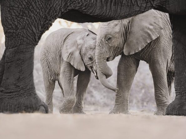 Donal_Boyd_Sample_OM-D_E-M1_Mark_III_40-150mm_Zoom_150mm_F32_1-125sec_ISO400-scaled