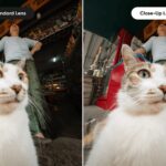 24139_b270585a-6b24-4d22-8ebd-e9