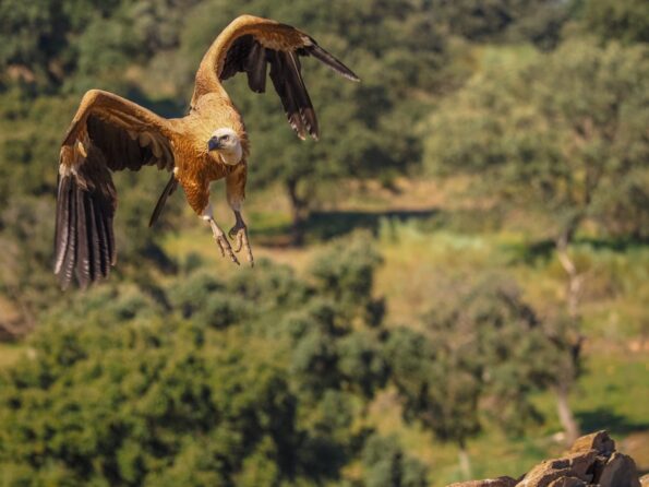 EZ-M4015_4PRO_Marcin_Dobas_DBS63094