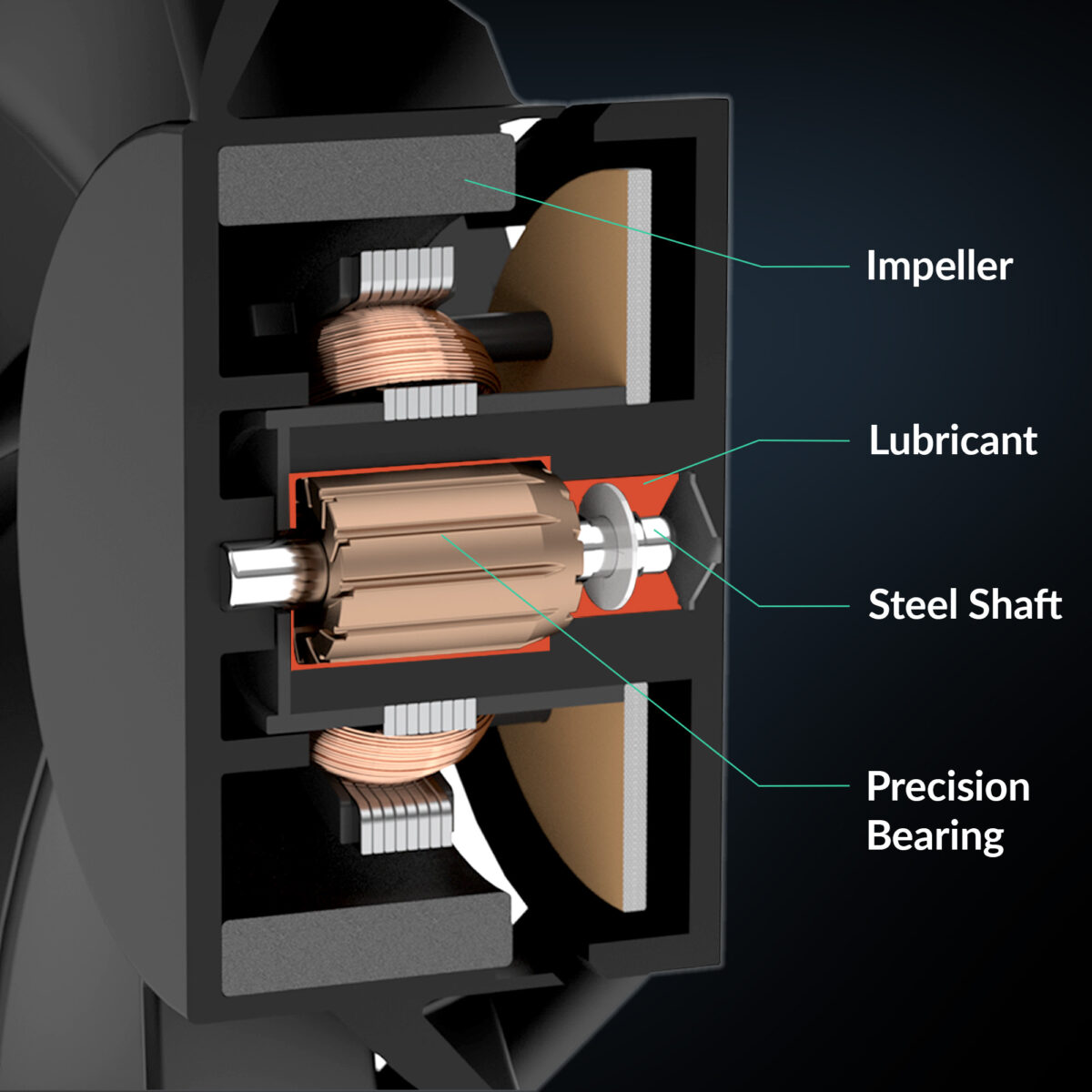 Freezer_8_Fluid_Dynamic_Bearing_EN