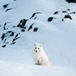 ACCESSORIES_MC-14_black__Product_000-1-scaled