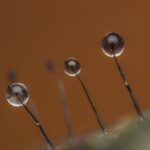 9035_90mm_90macro_BLK_Stand_MF