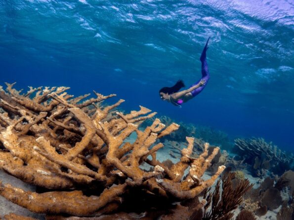 Juan_Jose_Saez_Cuba_OMD_E-M1_Mark_II_PT-EP14_8mm_Fisheye_PRO_F1.8_1-640sec_ISO400-scaled