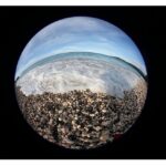 ACCESSORIES_FCON-T02__Product_001