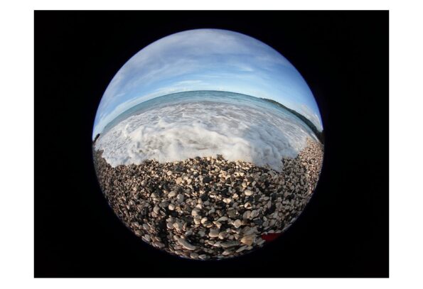 LENSES_FCON-T02__sample