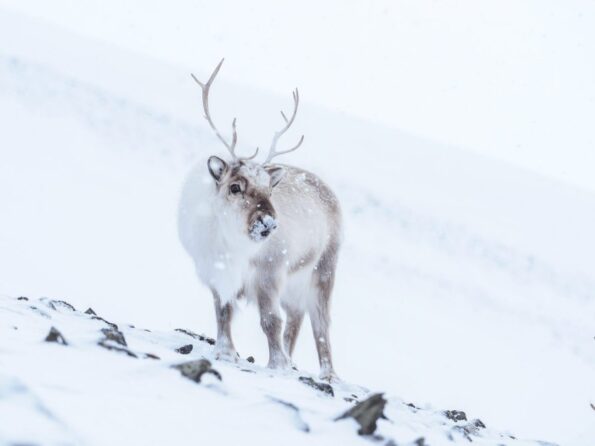 Marcin_Dobas_Sample_OM-D_E-M1X_40-150mm_Zoom_100mm_PRO_F4_1-1000sec_ISO200-scaled