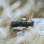 C53_M_Zuiko_150-600mm_F5.0-6.3_IS_1560_Leftside_W_AF0004