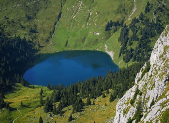 Orest_Shvadchak_OM-D_E-M10_Mark_III_40-150_ZOOM_40mm_F4.5_1-800sec_ISO200_013-scaled