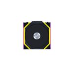 P1043270反叶-Large-1