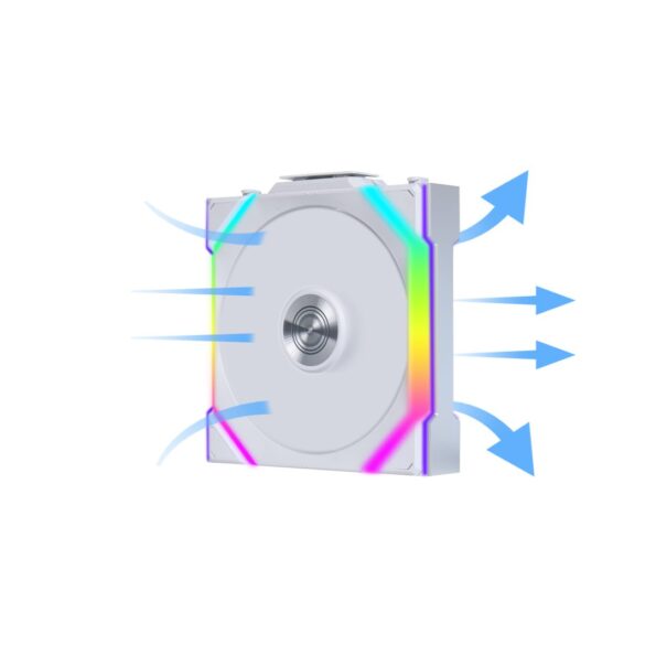 P1043779正叶-Large