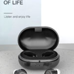 POWERTECH ακουστικά βαρηκοΐας PT-1247 με θήκη