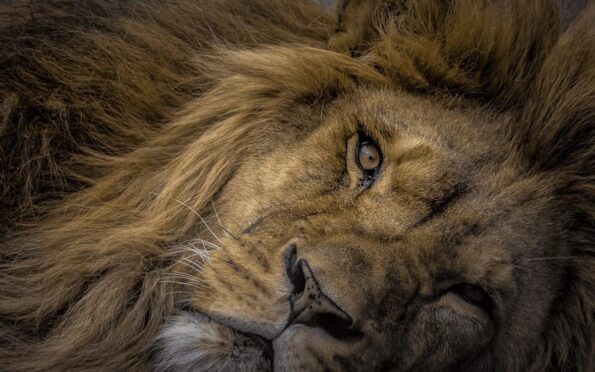 Pool_Lensbook_OM-D_E-M1_EZ-M7530II_Greg_Bottle_2016-05__Sample_001-scaled