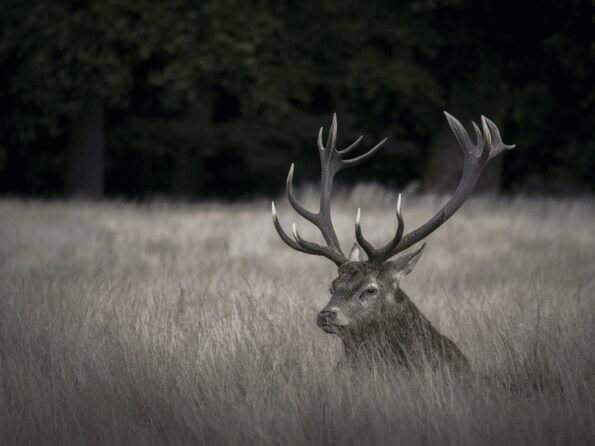 Pool_Lensbook_OM-D_E-M5_EZ-M7530II_Greg_Bottle_2016-05__Sample_002-scaled