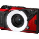 ACCESSORIES_FD-1__Product_000-scaled