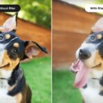 2962_777c8f1c-d4ee-41c4-82c9-b86